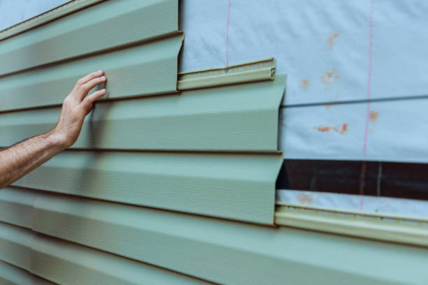 Best Vinyl Siding Installation  in Los Lunas, NM